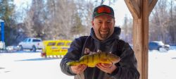 Lake Simcoe Jumbo Perch